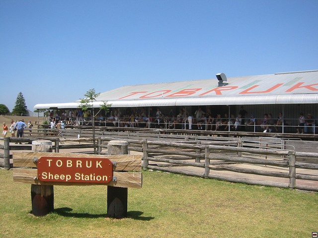 img00043.jpg