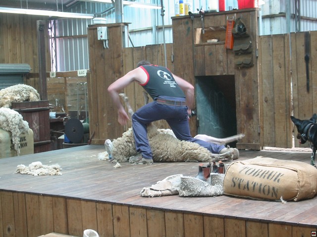 img00046.jpg