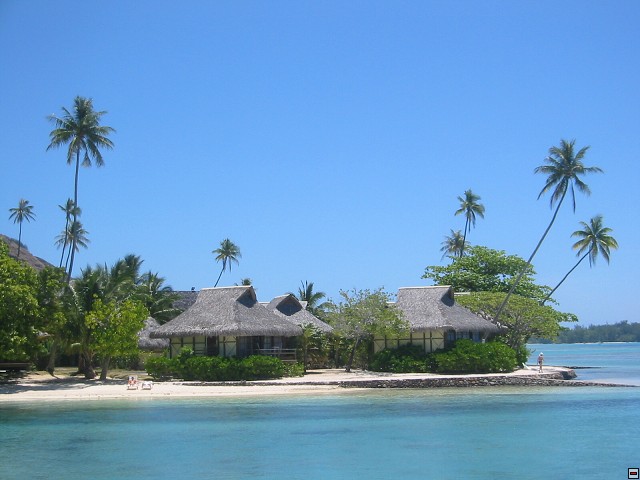 img00002.jpg