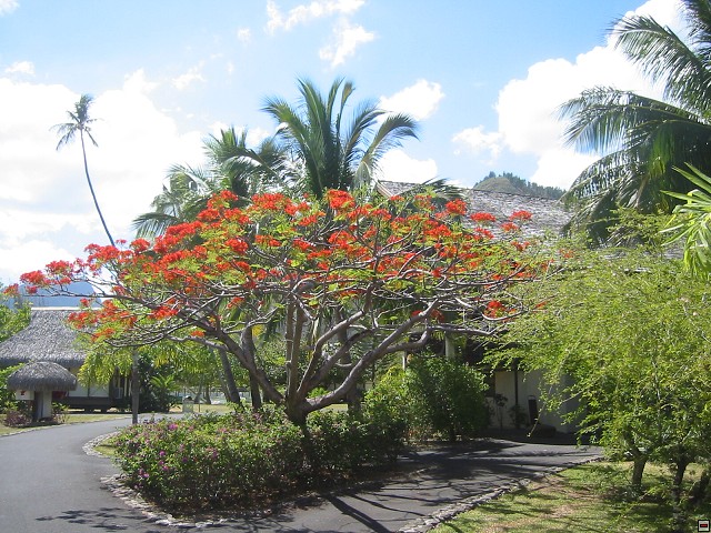 img00005.jpg