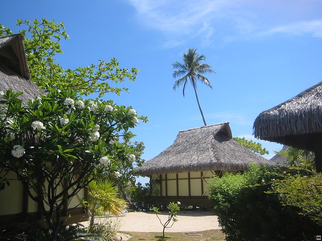 img00006.jpg