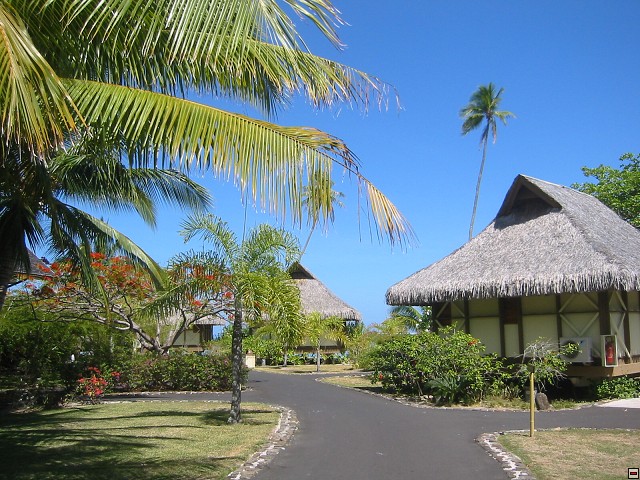 img00007.jpg