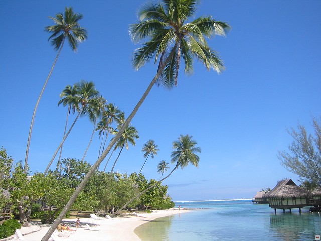 img00008.jpg
