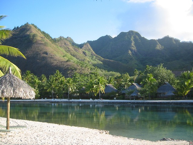 img00010.jpg