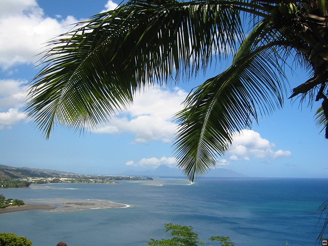 img00013.jpg
