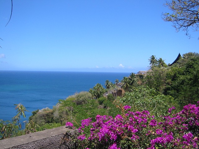 img00015.jpg
