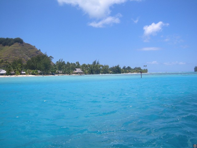 img00064.jpg