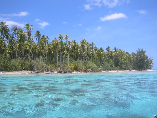 img00066.jpg