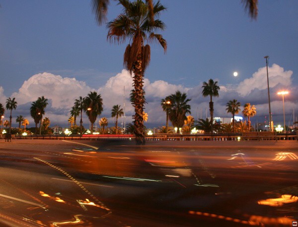 img00009.jpg