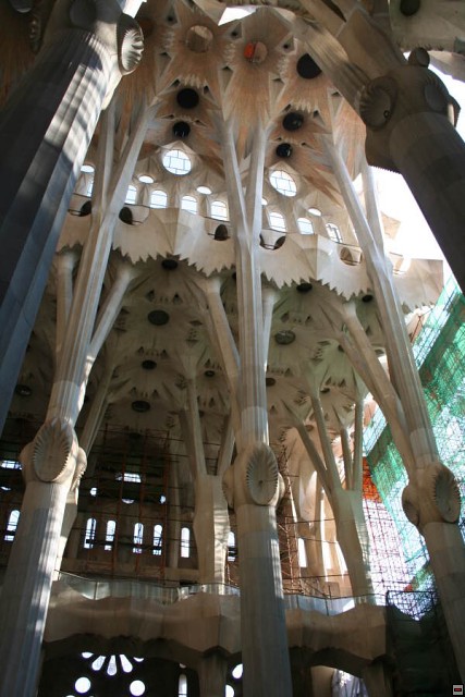 img00015.jpg