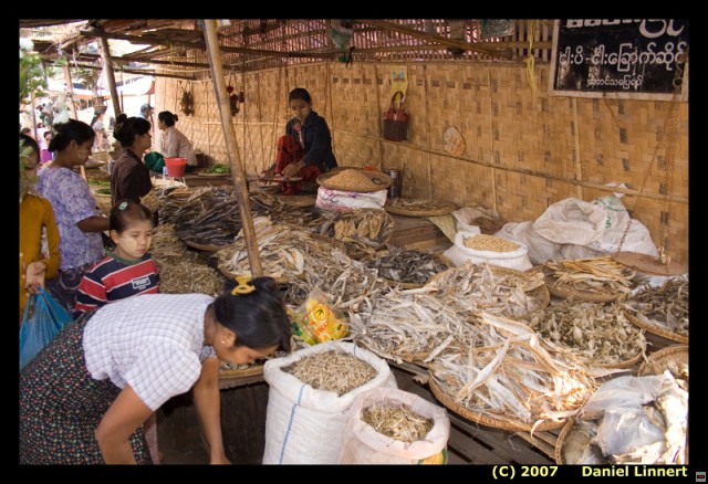 img00023.jpg
