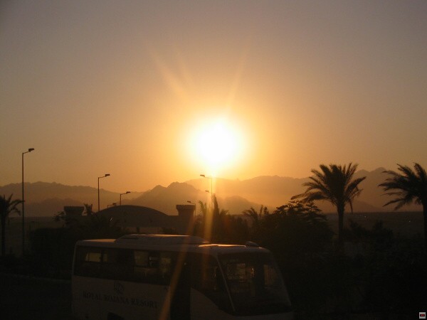 img00001.jpg