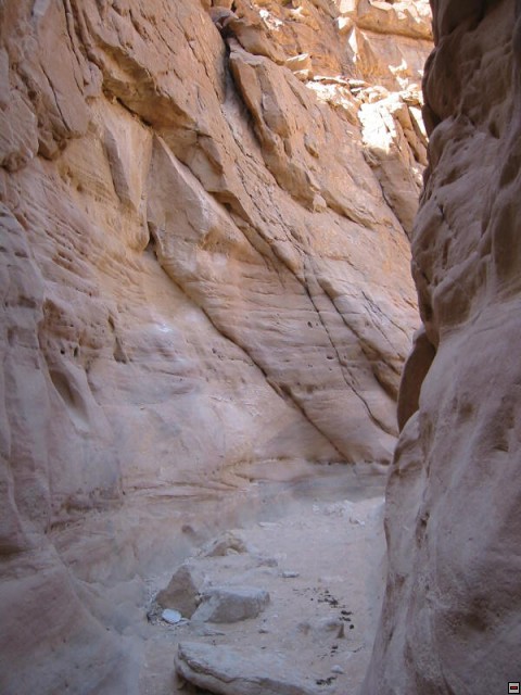img00008.jpg
