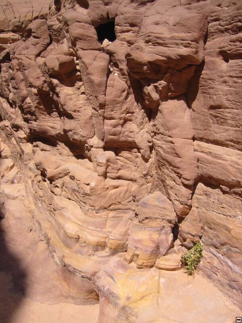 img00010.jpg