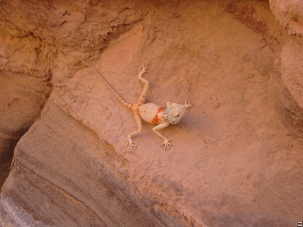 img00015.jpg