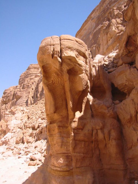img00017.jpg