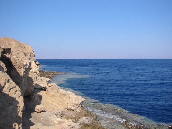 img00019.jpg