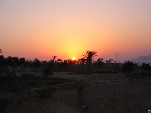 img00021.jpg
