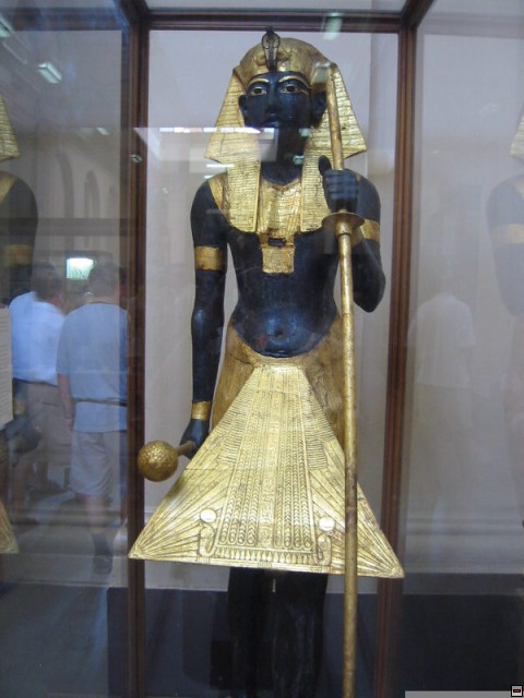 img00048.jpg