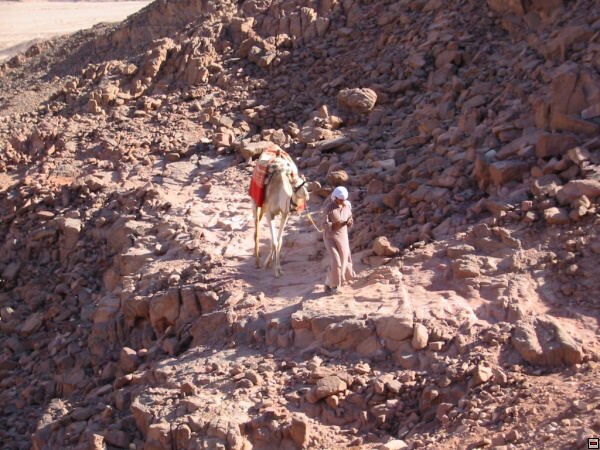 img00069.jpg