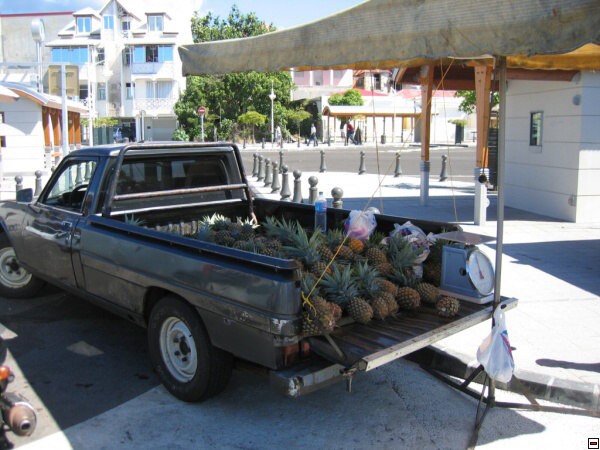 img00005.jpg