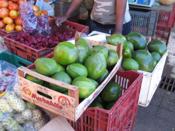 img00012.jpg