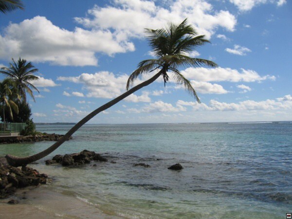 img00017.jpg