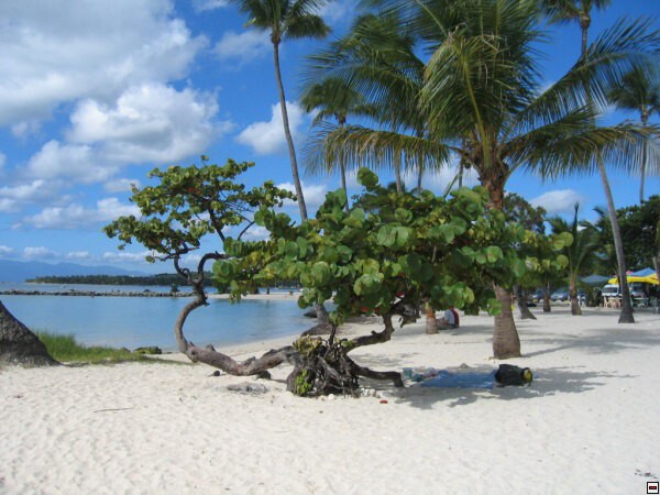 img00018.jpg