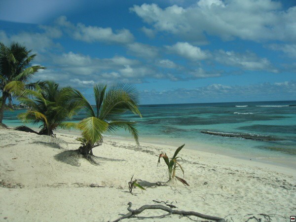 img00024.jpg
