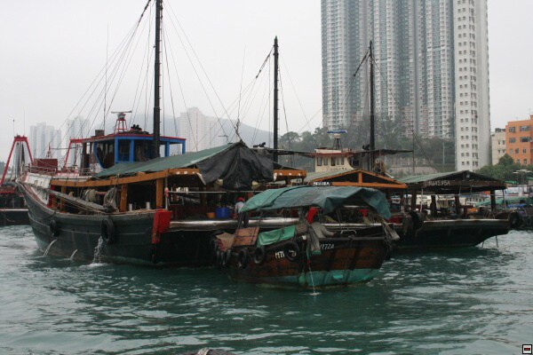 img00006.jpg