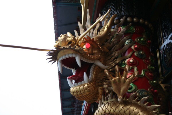 img00008.jpg