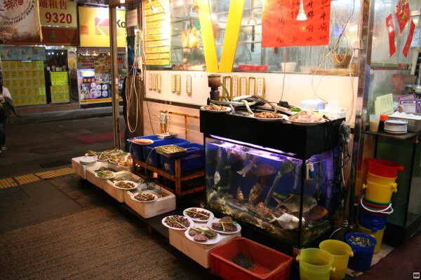 img00021.jpg