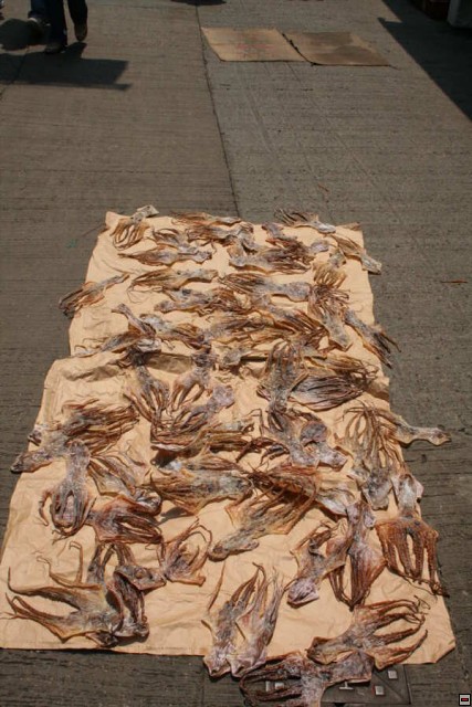 img00035.jpg