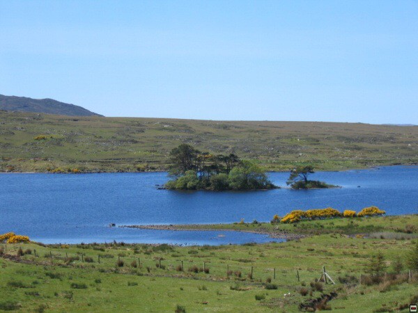 img00017.jpg