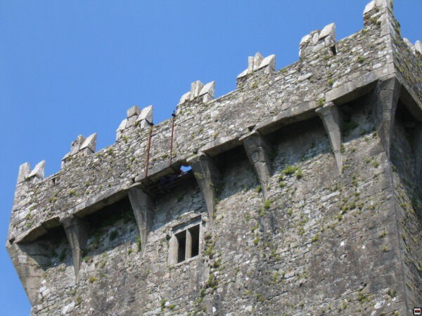 img00061.jpg