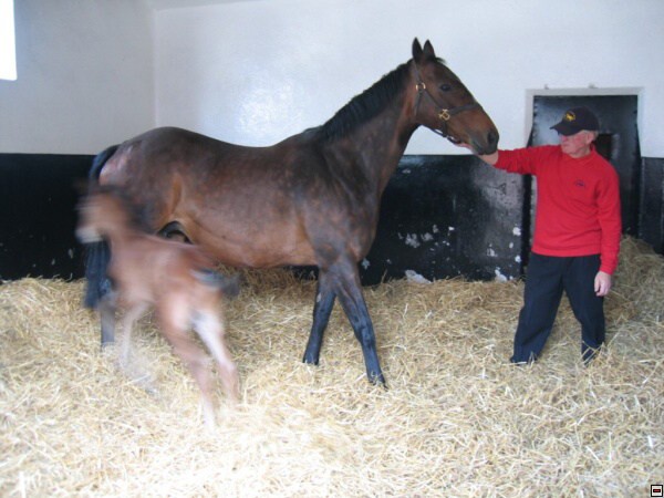 img00084.jpg