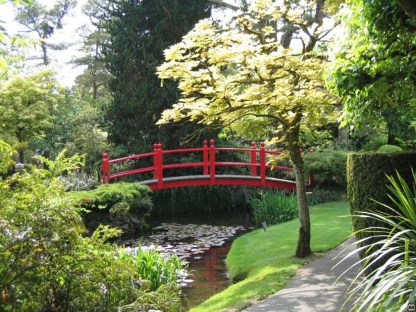 img00085.jpg