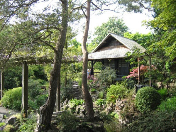 img00086.jpg