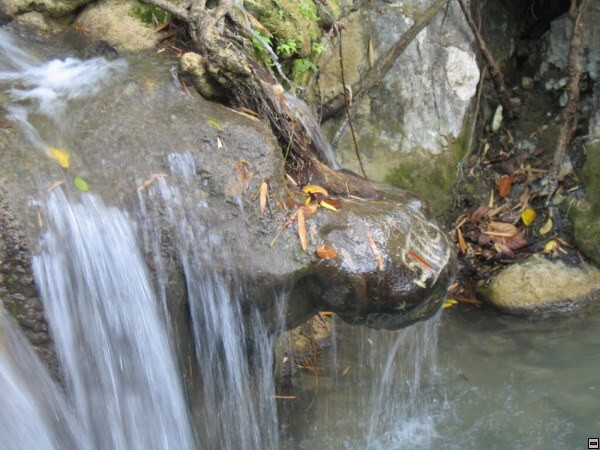 img00011.jpg