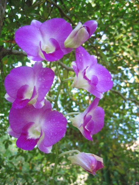 img00013.jpg