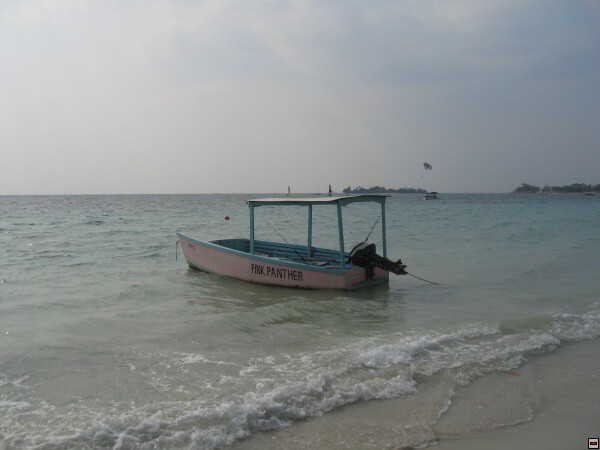img00014.jpg