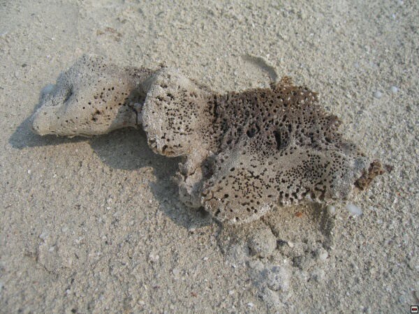 img00015.jpg
