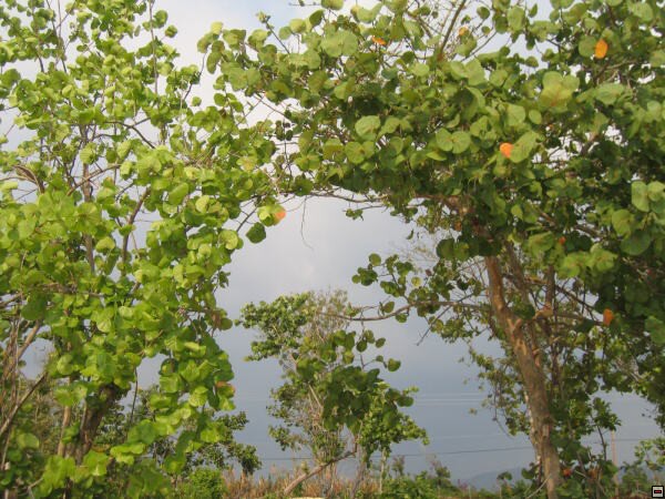 img00016.jpg