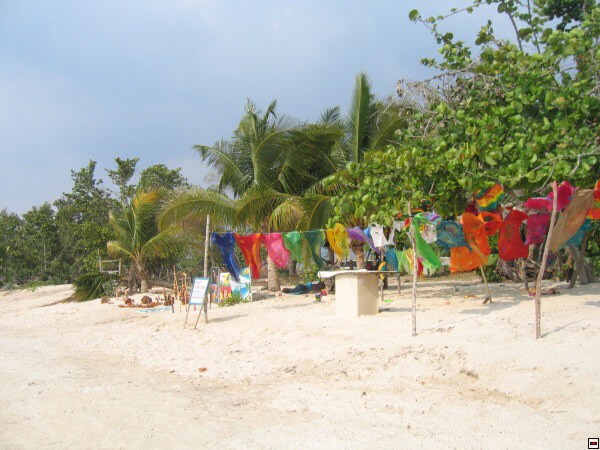 img00018.jpg