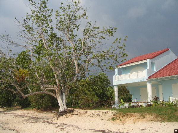 img00019.jpg