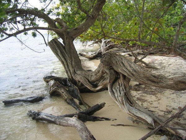 img00021.jpg