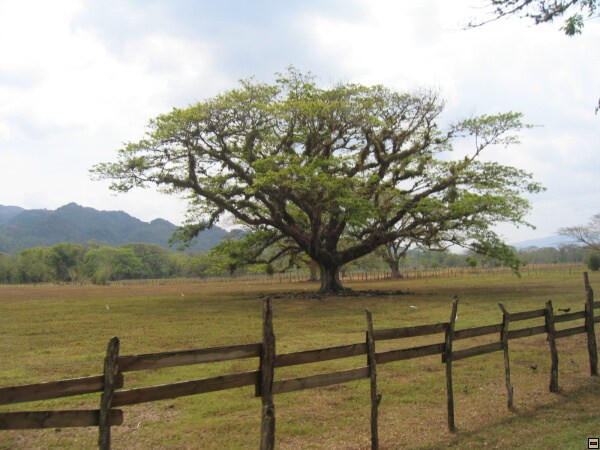 img00023.jpg