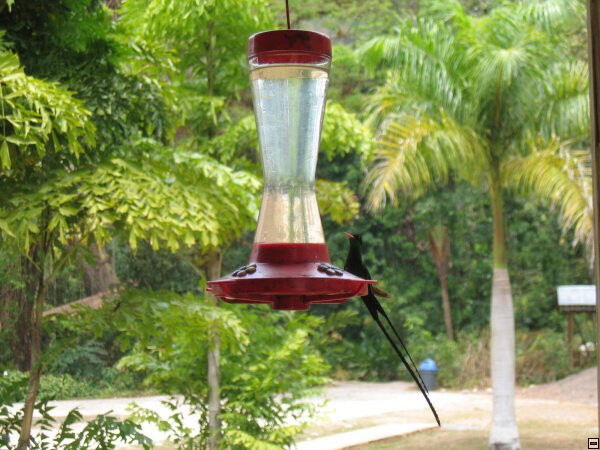 img00028.jpg