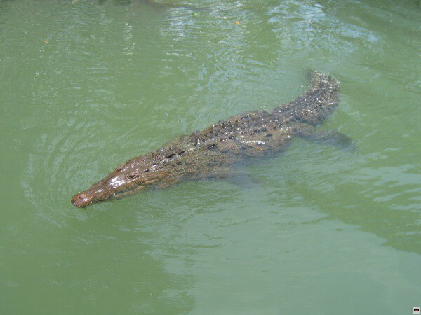 img00031.jpg