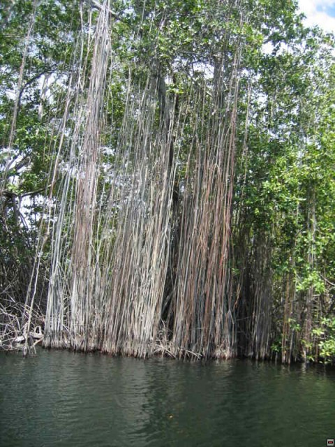 img00034.jpg